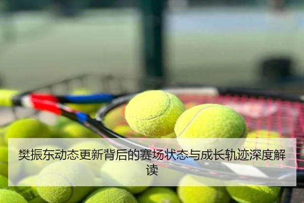樊振东动态更新背后的赛场状态与成长轨迹深度解读