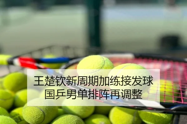王楚钦新周期加练接发球 国乒男单排阵再调整